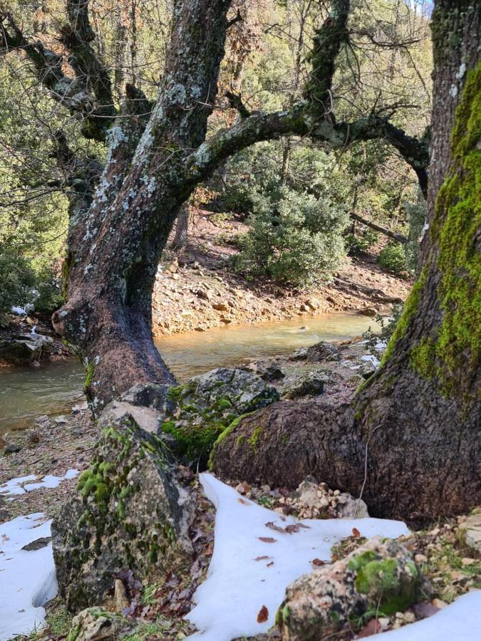 La Pommeraie D'Ifrane イフレン エクステリア 写真