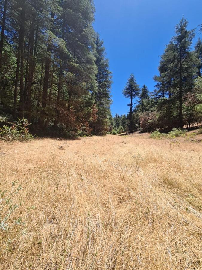 La Pommeraie D'Ifrane イフレン エクステリア 写真