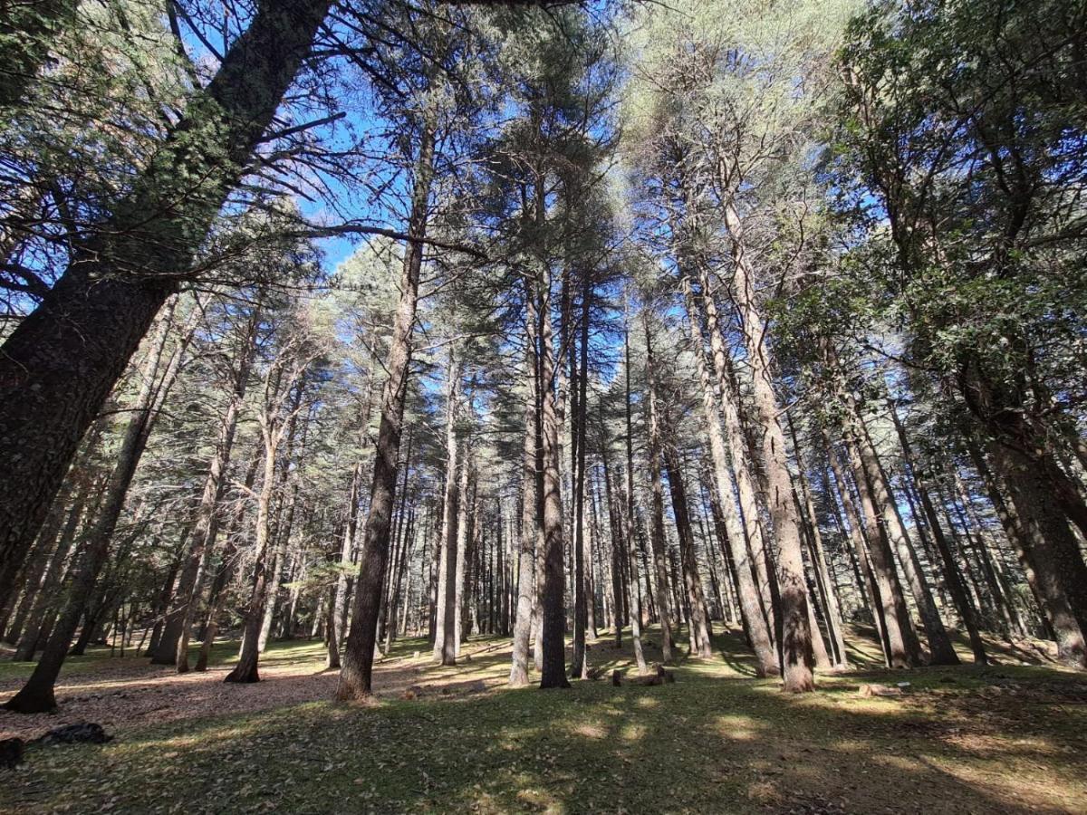 La Pommeraie D'Ifrane イフレン エクステリア 写真