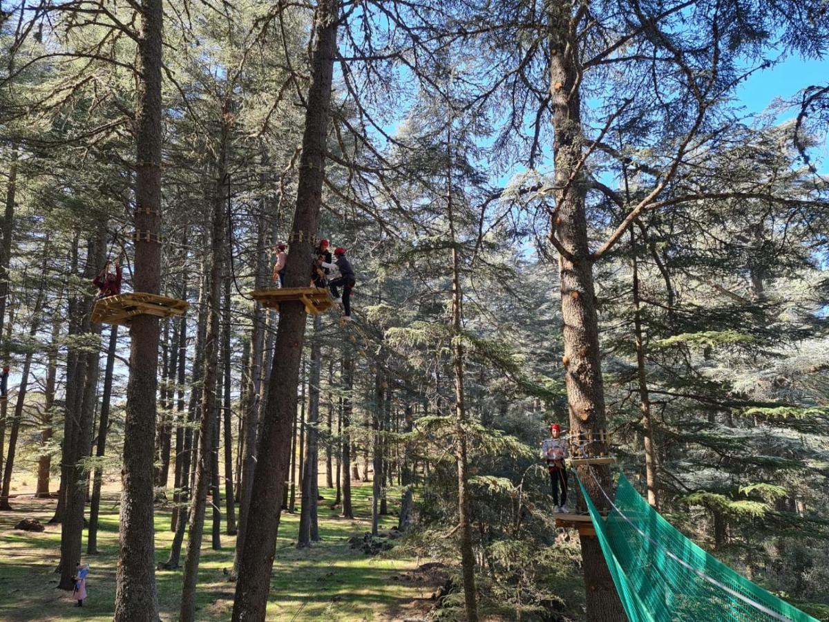 La Pommeraie D'Ifrane イフレン エクステリア 写真