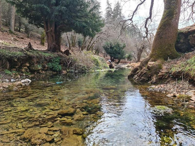 La Pommeraie D'Ifrane イフレン エクステリア 写真