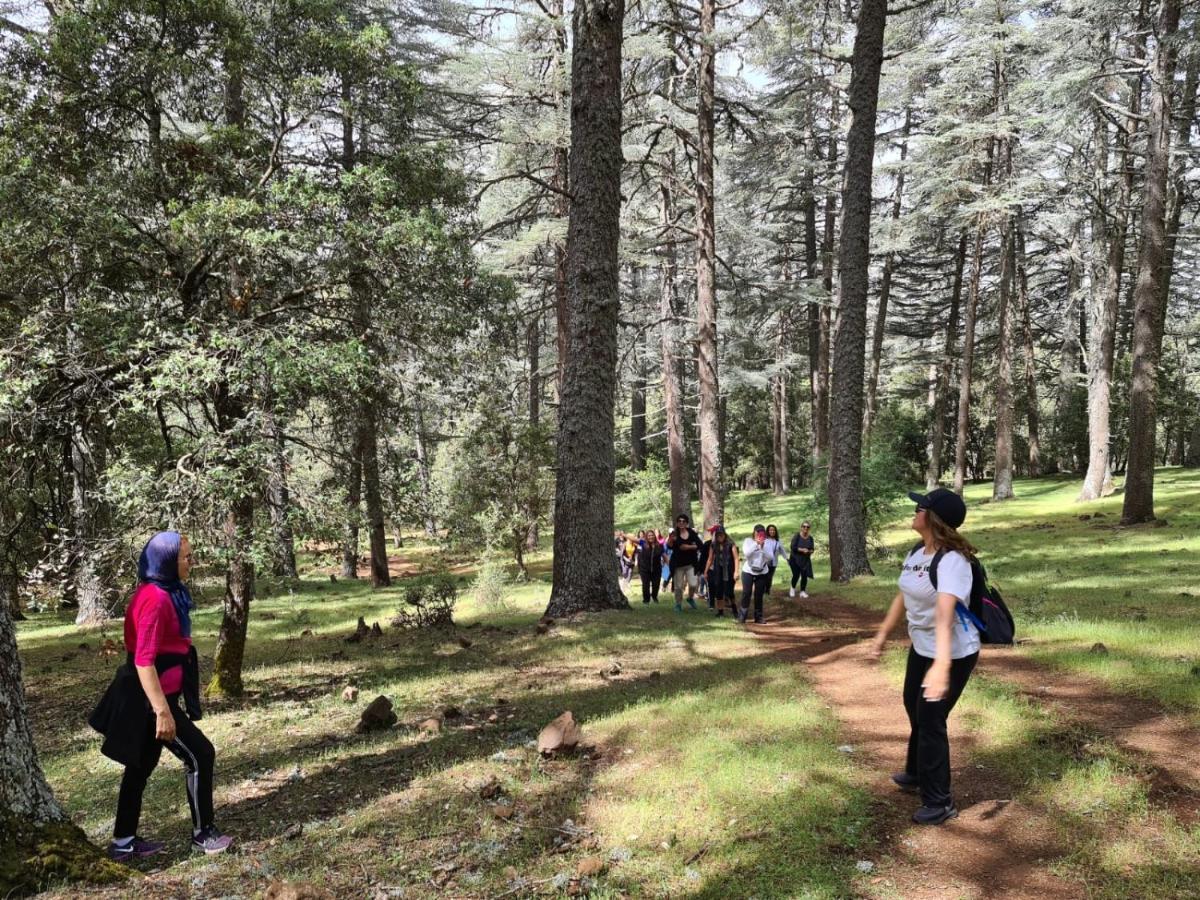 La Pommeraie D'Ifrane イフレン エクステリア 写真