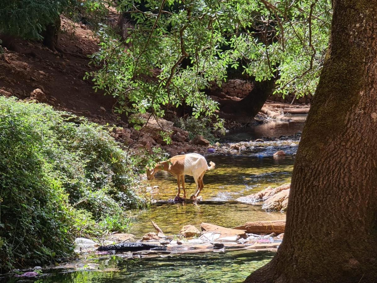 La Pommeraie D'Ifrane イフレン エクステリア 写真
