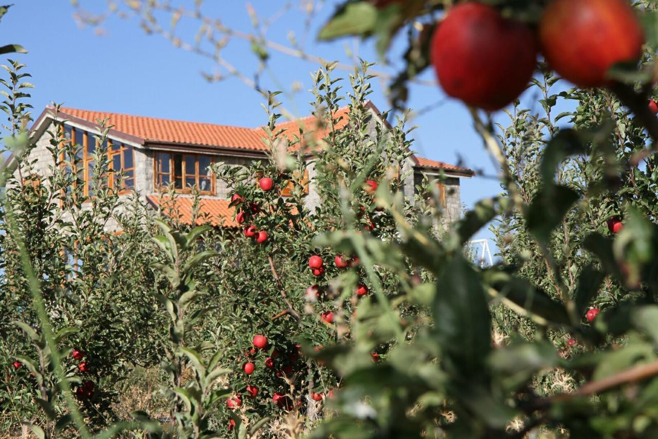 La Pommeraie D'Ifrane イフレン エクステリア 写真